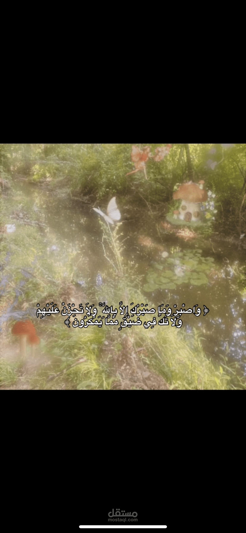 فيديو بسيط فيه ايه قرانيه
