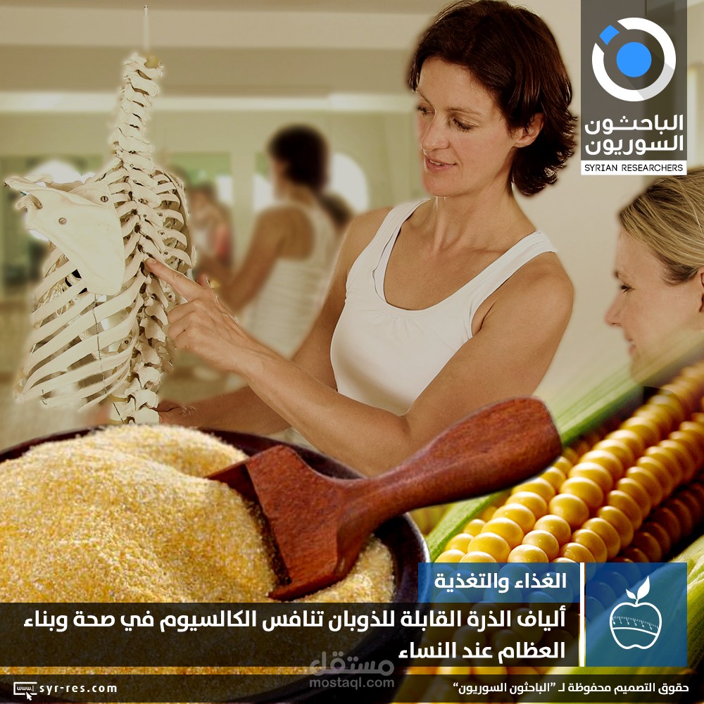 أليافُ الذُرة القابلةُ للذوبان تنافِسُ الكالسيوم في صِحّةِ وبناءِ العِظام عندَ النِساء