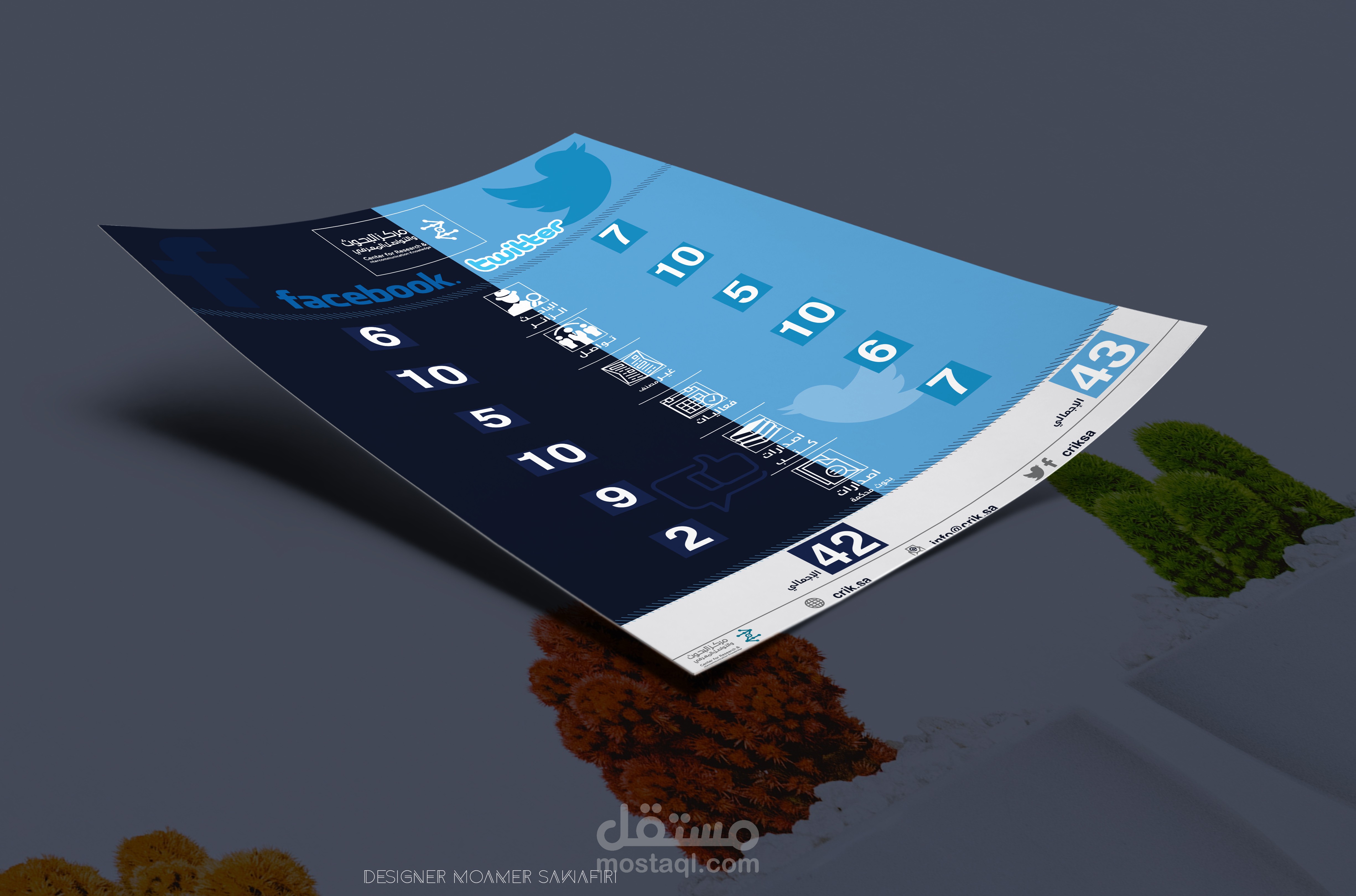 تصميم انفوجرافيك فلاير