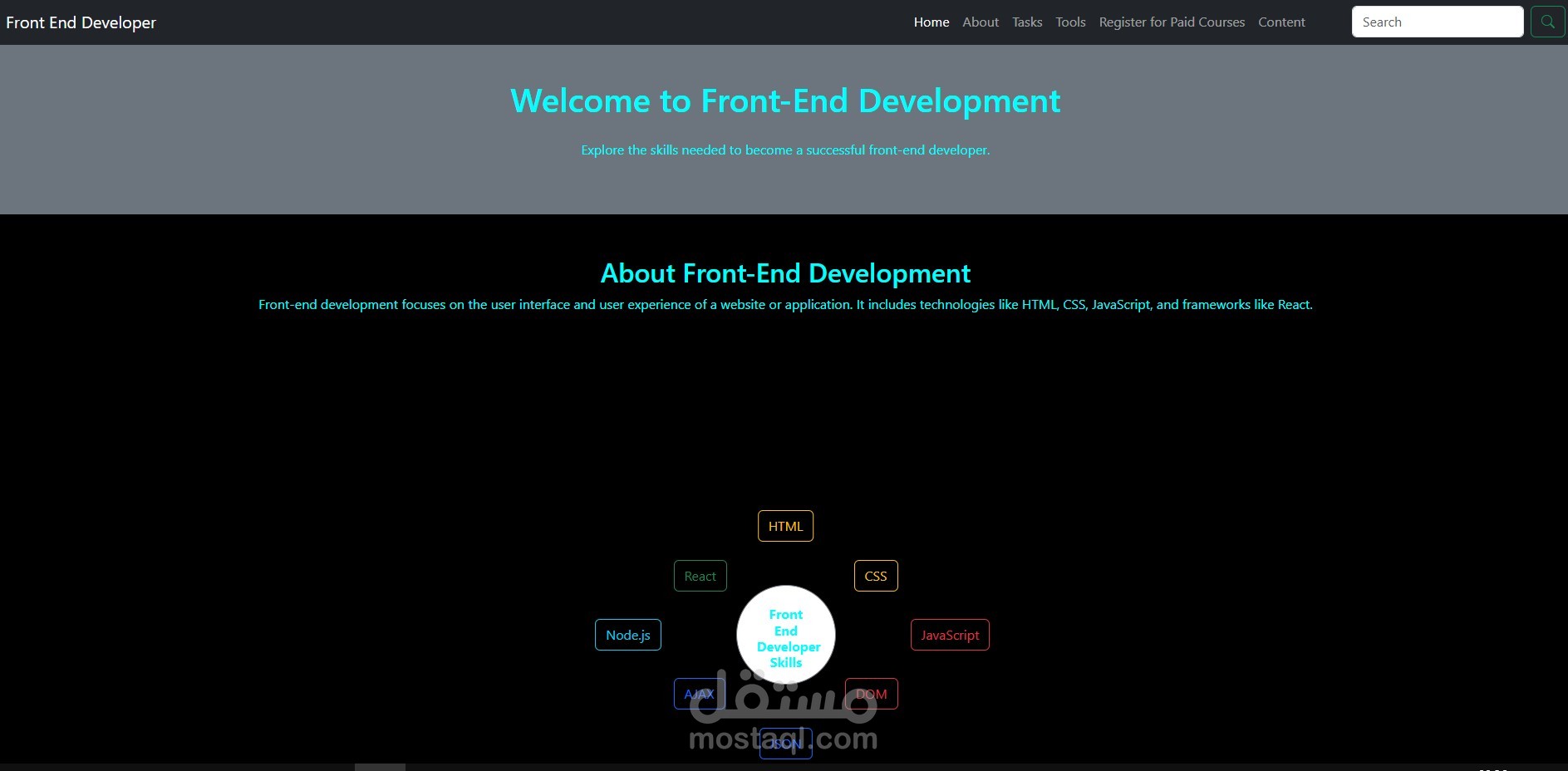 Front End Developer