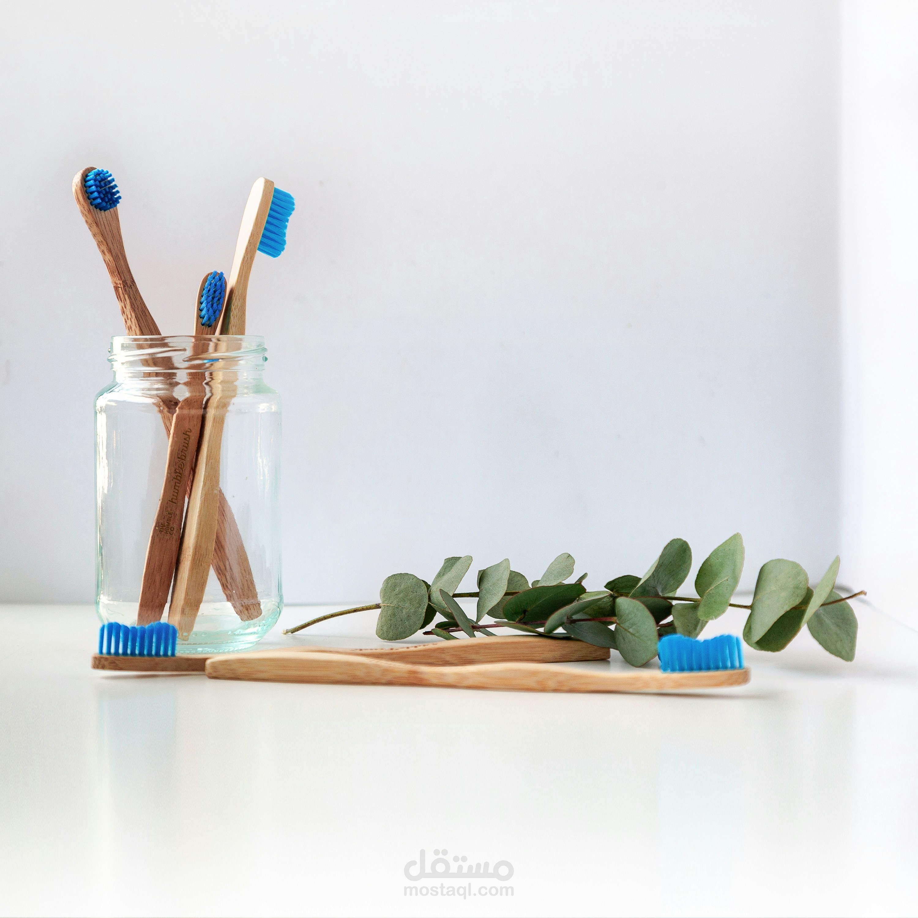 The silent connection: Why oral heath is the secret to systemic wellness