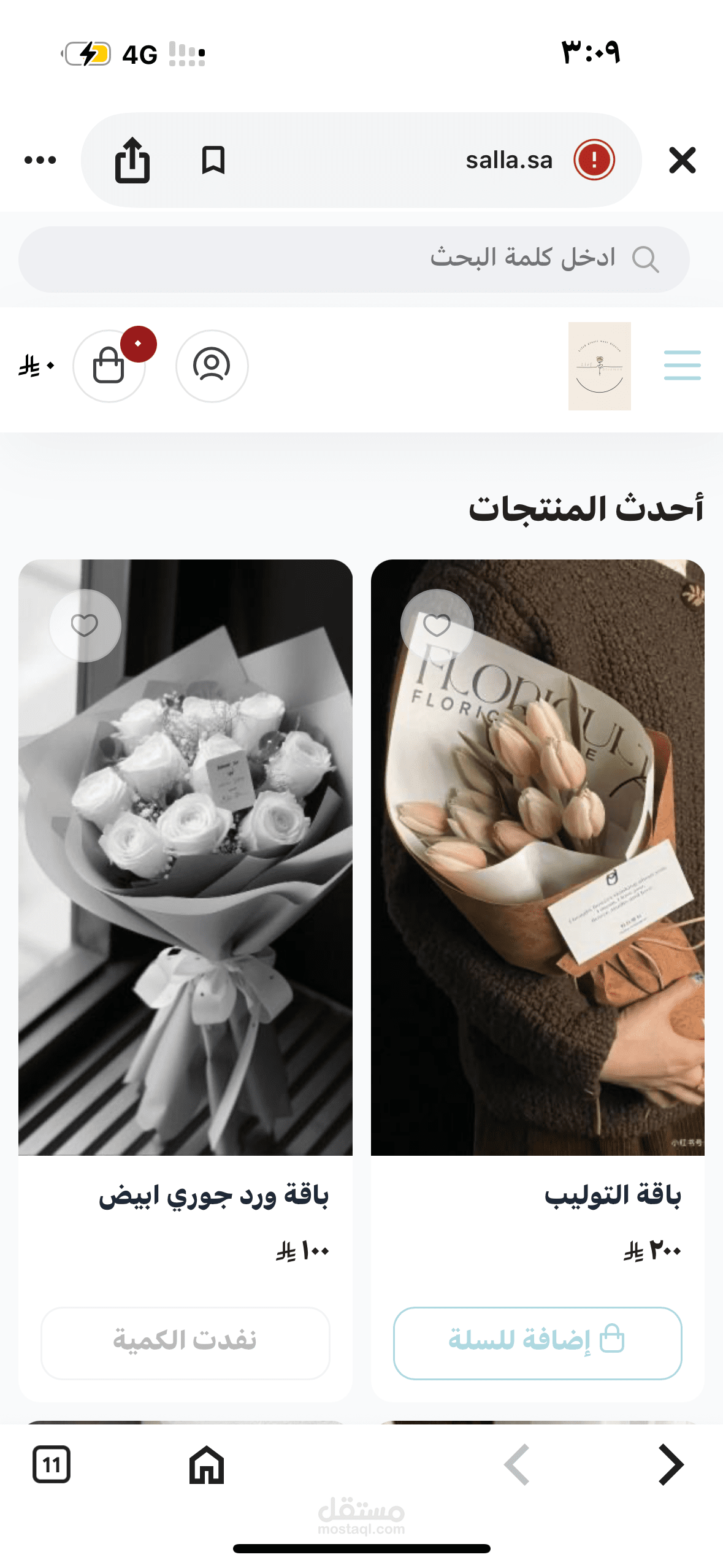 تصميم متجر الكتروني