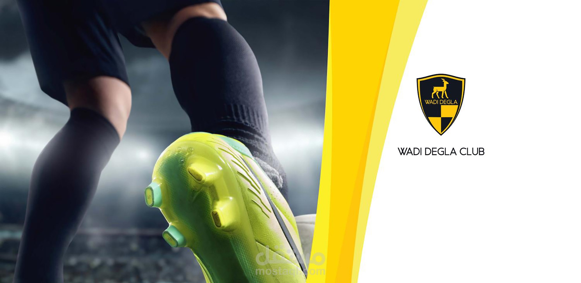 wadi degla project