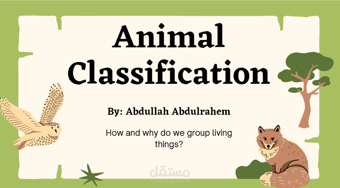 Animal Classification