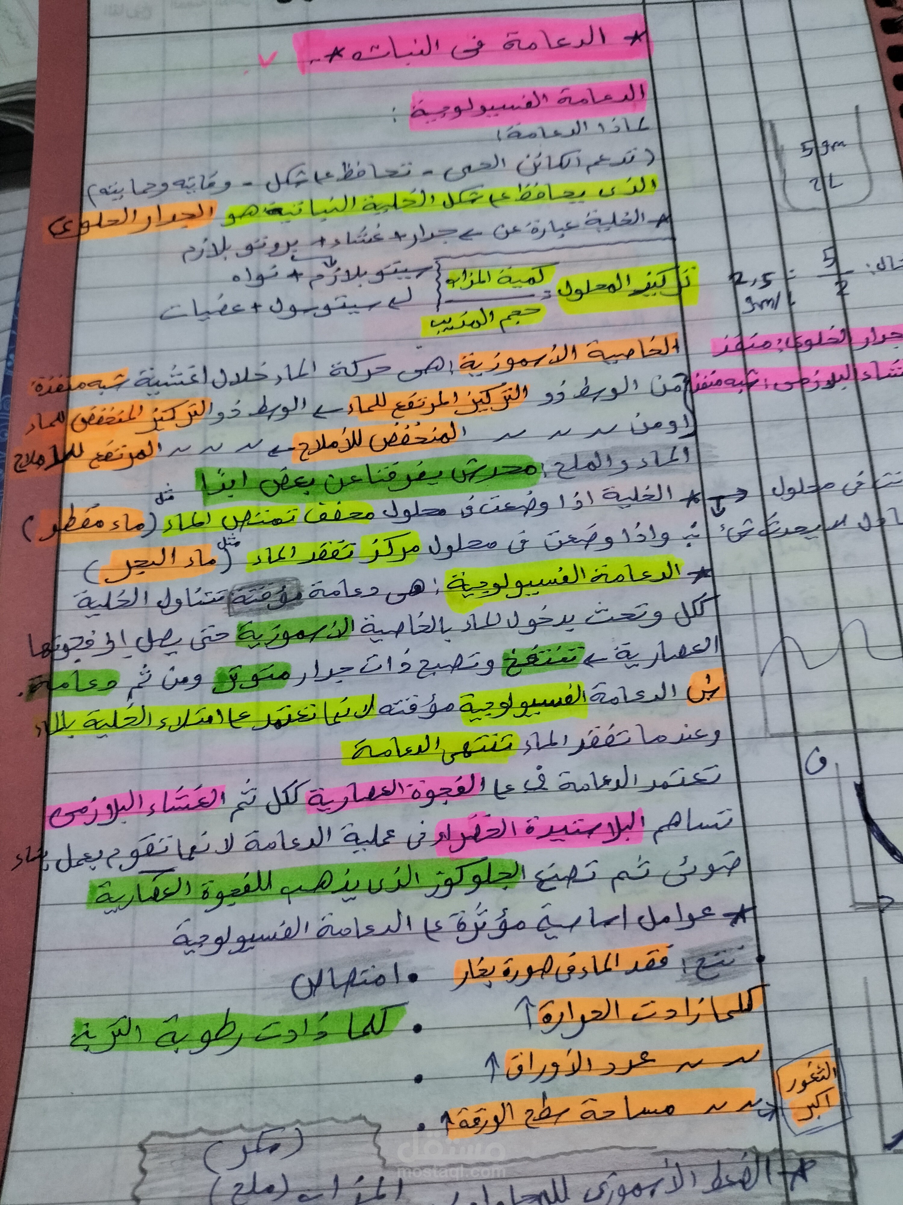 الدعامة في النباتات