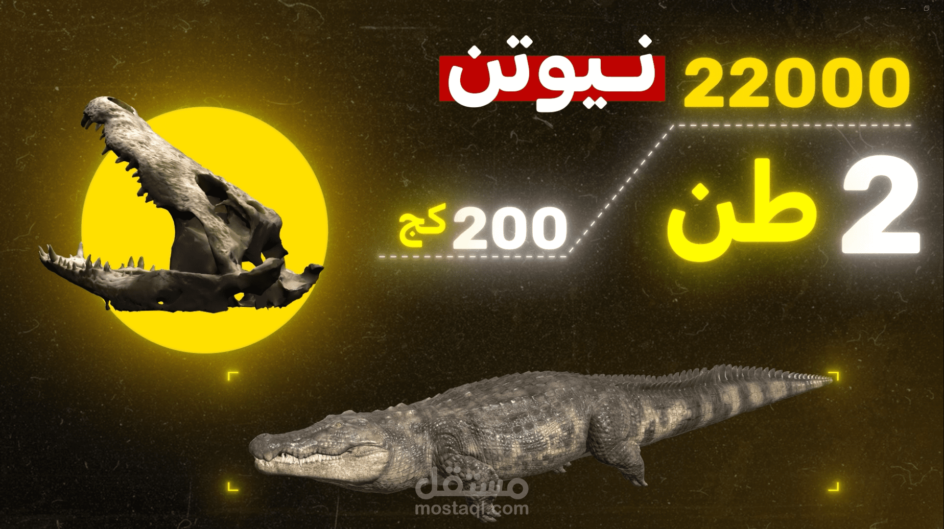 العمل عن وثائقي عن التمساح النيلي ومعلومات عن قدراته