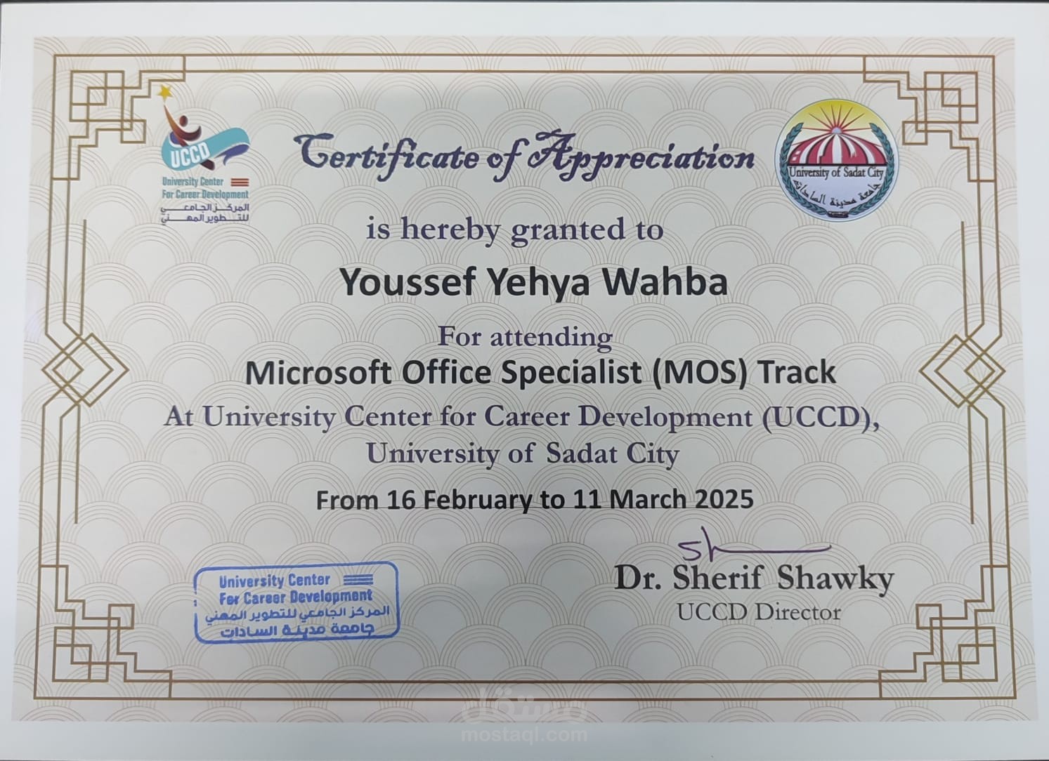 Microsoft Office Specialist (MOS)