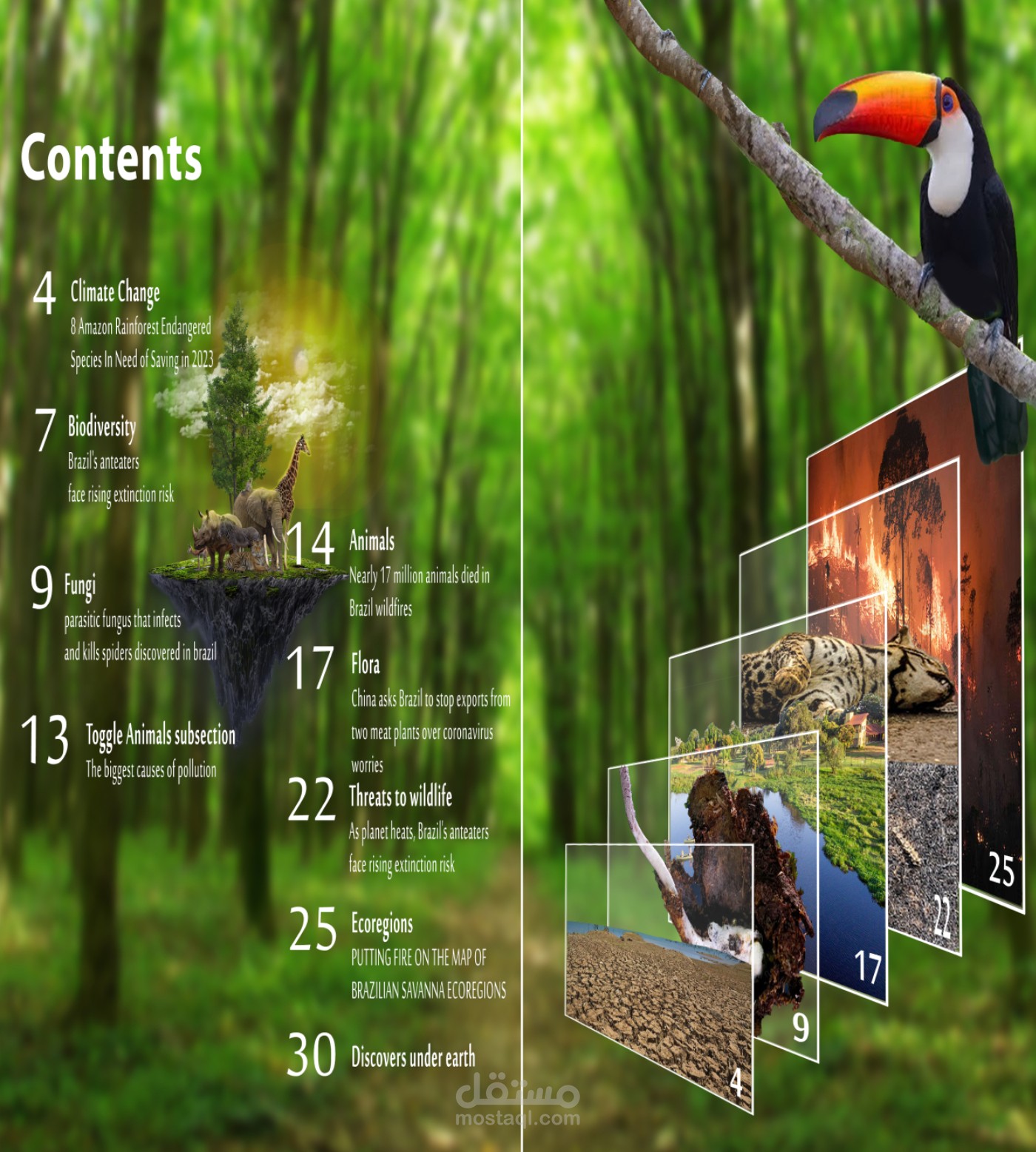 Editorial Magazine Design – Wildlife & Environment