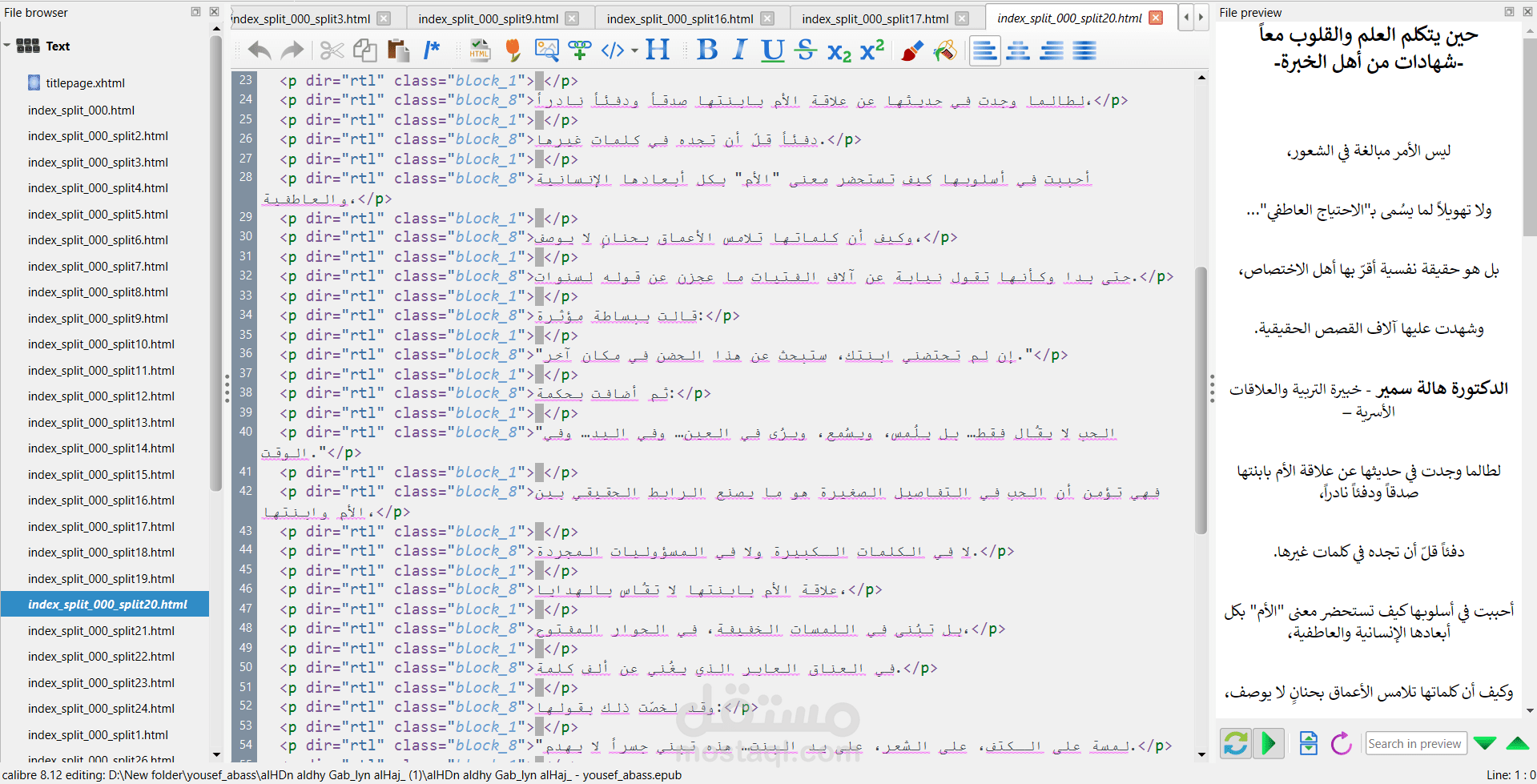 تحويل ملف pdf الي ملف EPUB