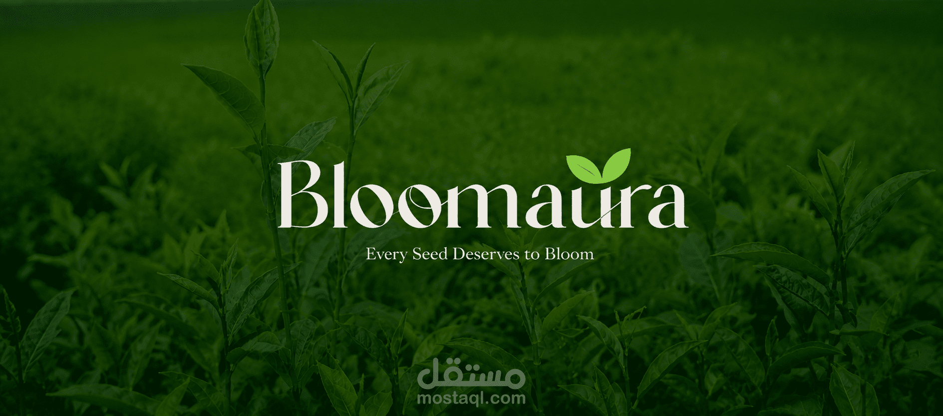 تصميم هوية بصرية متكاملة لعلامة Bloomaura