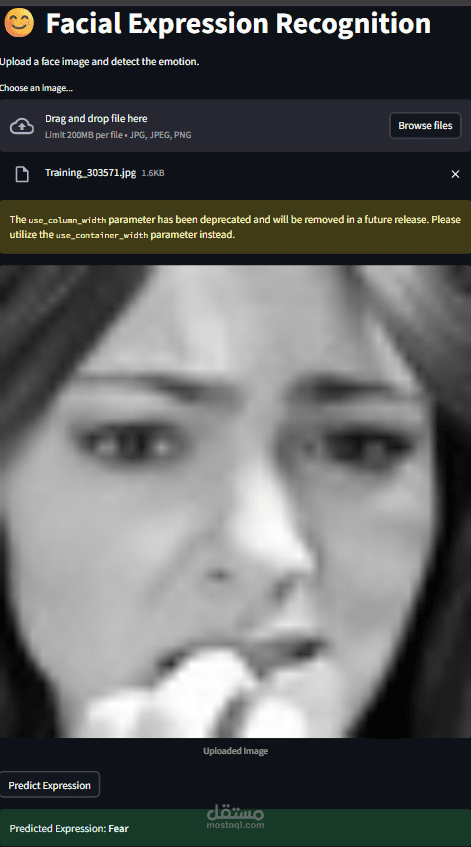 CNNs Model To classify Facial Emotions