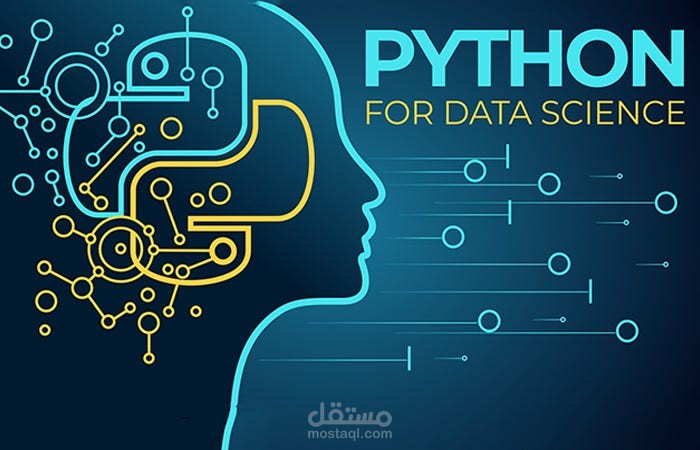 تحليل البيانات باستخدام Python وPandas وNumPy وMatplotlib