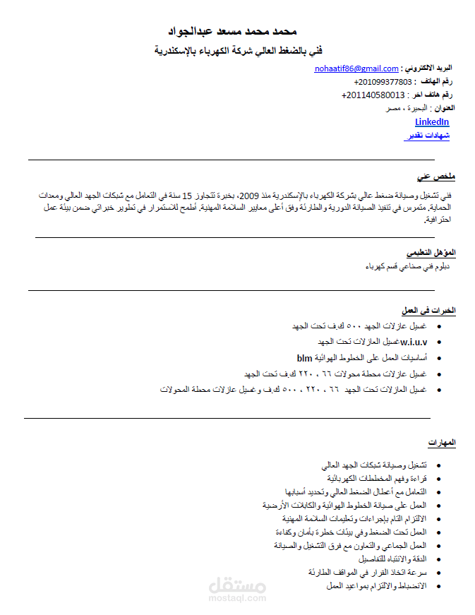 سيرة ذاتيه احترافية