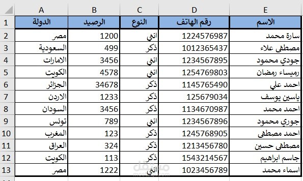 نموذج إدخال بيانات باستخدام Excel – رميساء رمضان