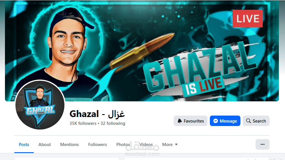 Personal Facebook Page Growth & Video Marketing