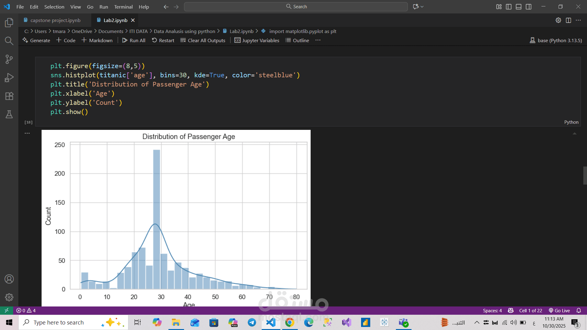 تحليل توزيع أعمار ركّاب سفينة تايتانيك باستخدام بايثون ( Titanic Passenger Age Distribution Analysis using Python)