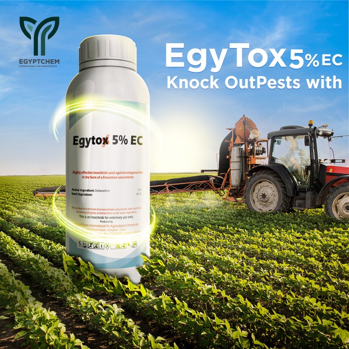 تصميم إعلان منتج زراعي مبيد حشري – Egytox 5% EC | Agri-Product Promotional Design