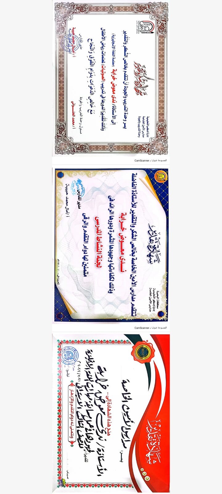 الحصول على شهادات متعلقة بتطوير الأداء المهني و تنفيذ مجموعة من الأنشطة التي تخدم مهارات اللغة و تقديم الدورات التدريبية لمعلمين آخرين