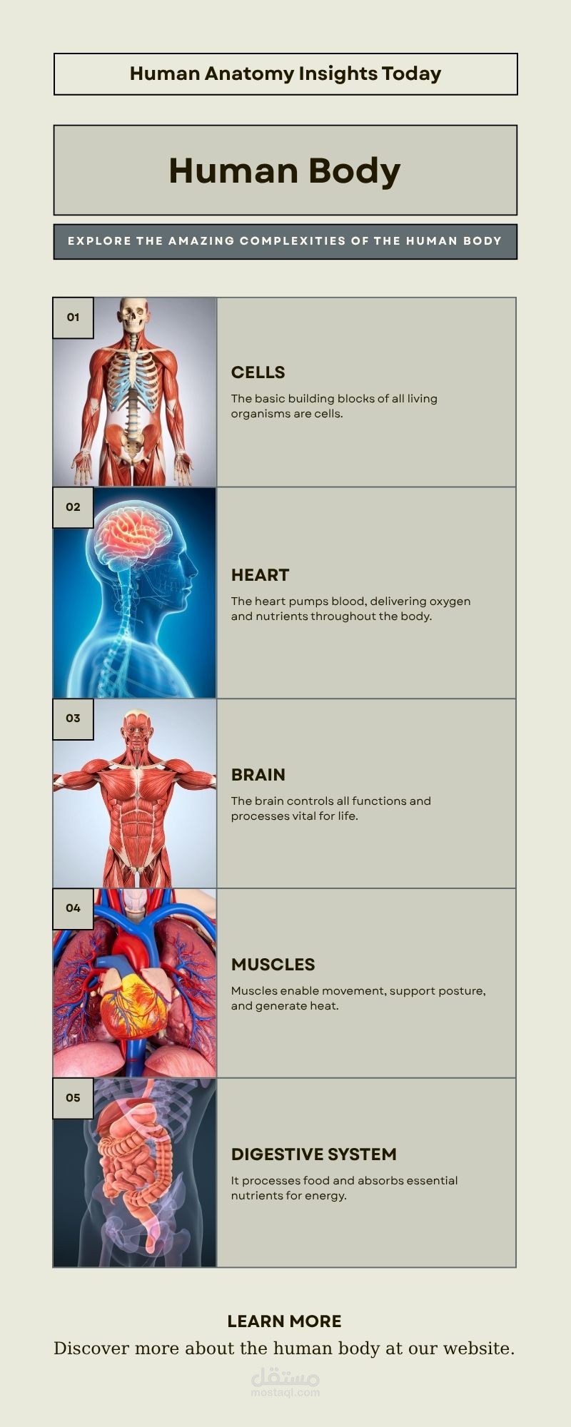 infographic human body