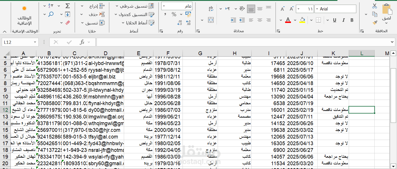 نموذج توضيحي لإدخال بيانات عملاء بتنسيق احترافي (مثال فقط – حفاظًا على خصوصية العملاء)