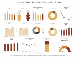 مؤشرات الاداء لادارة الامراض المدارية المهملة