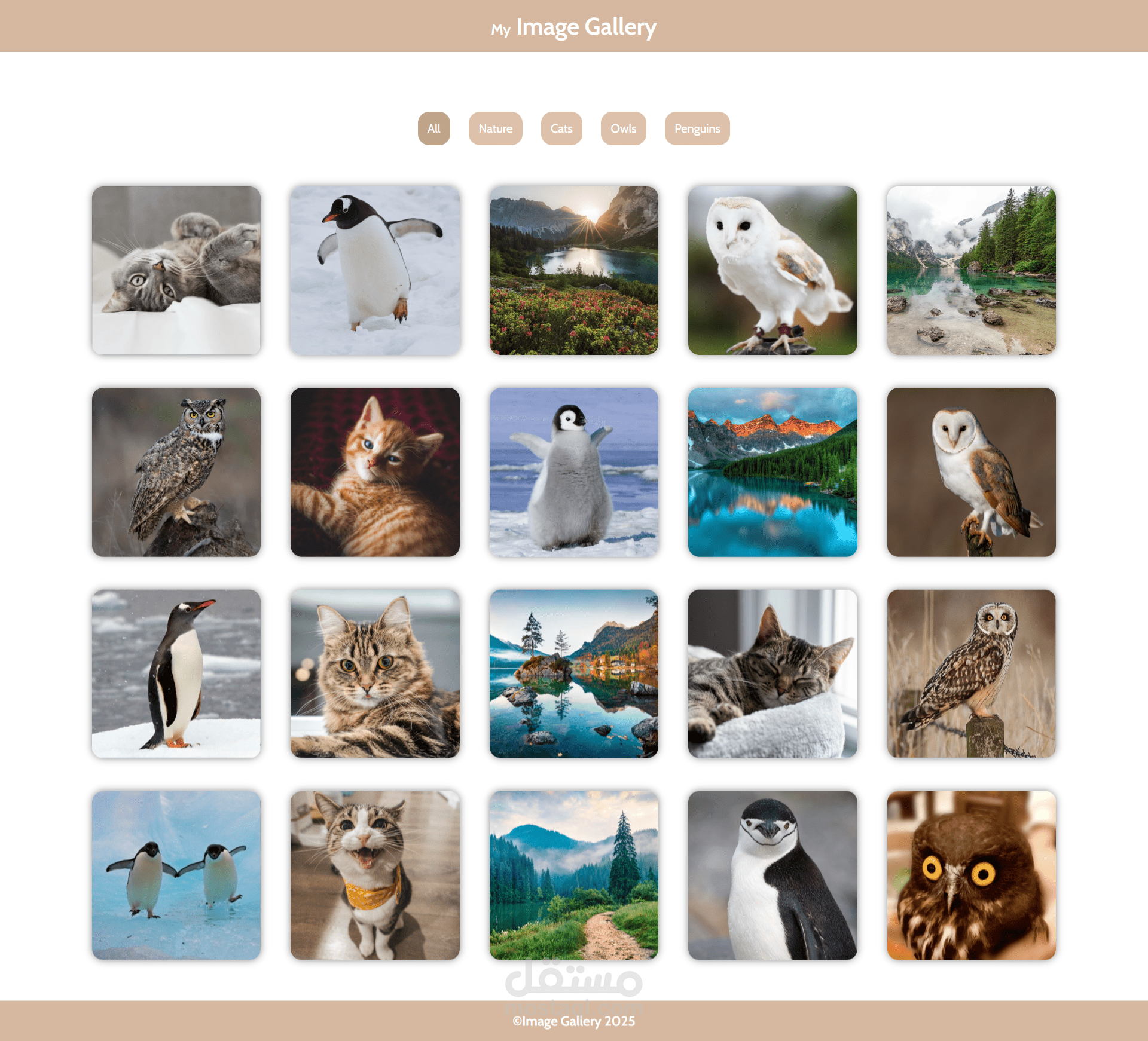 معرض صور/ Image gallery