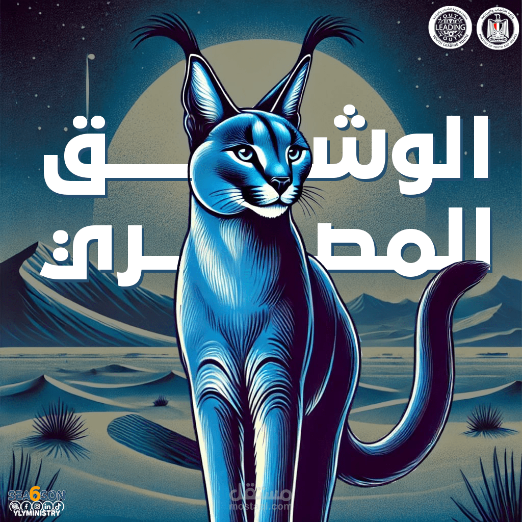 بوستر تعريفي عن حيوان الوشق المصري