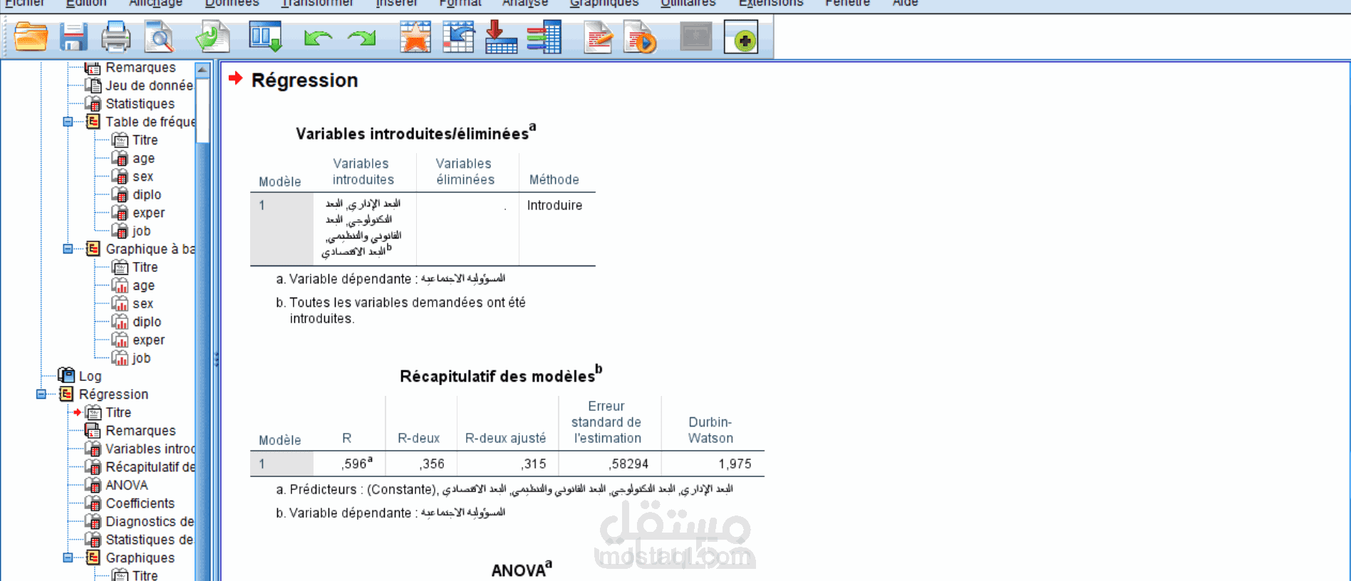 إعداد وتحليل البيانات باستخدام SPSS مع شرح وتفسير النتائج