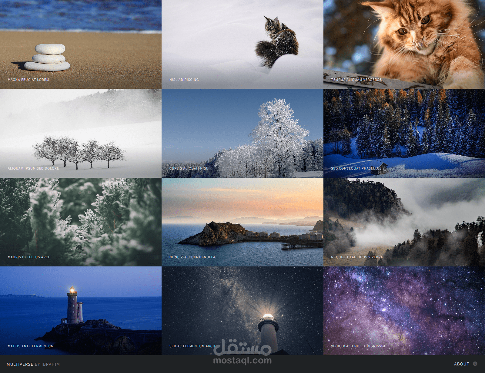 Multiverse – Image Gallery Website