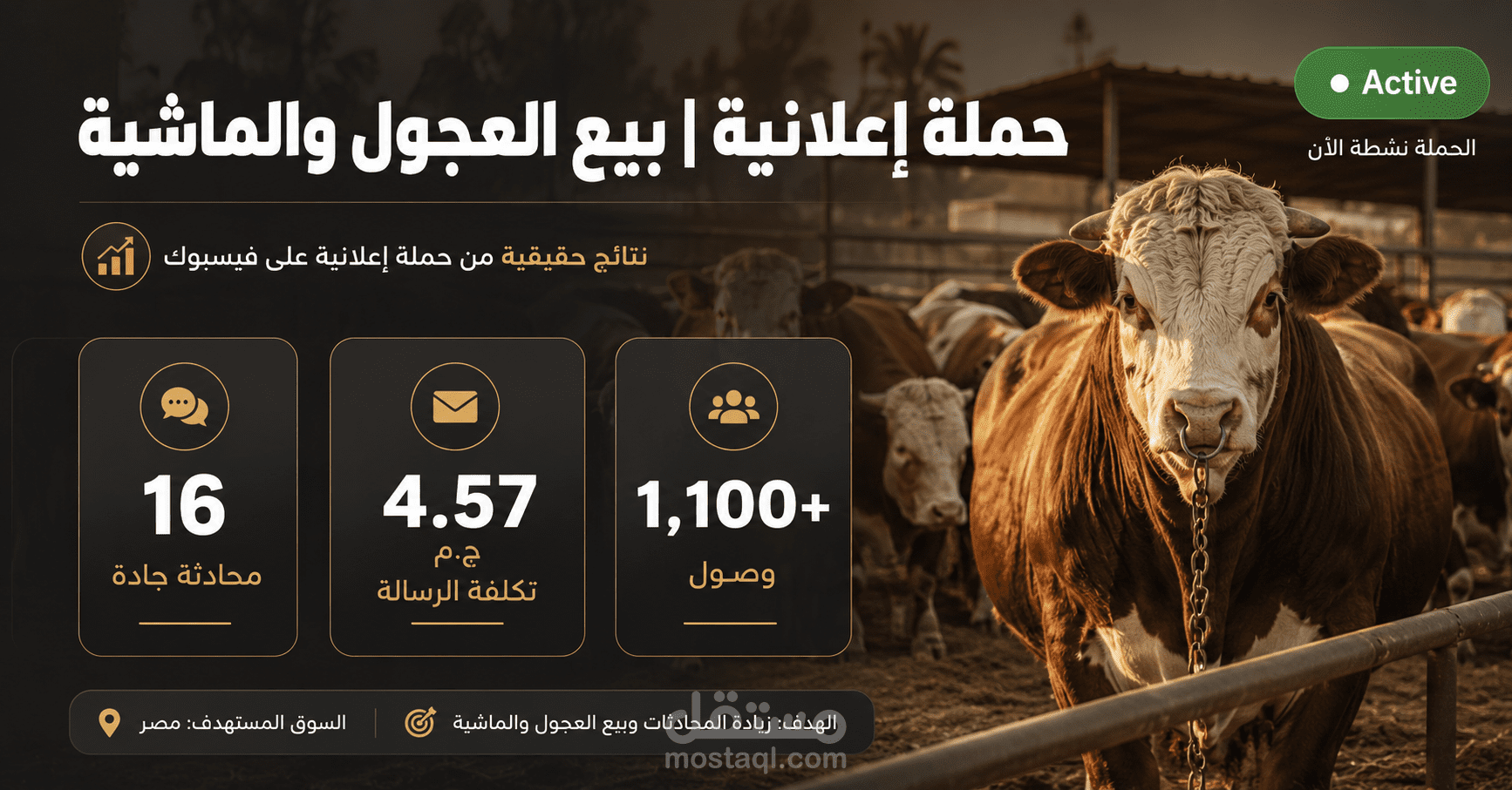 حملة إعلانية ممولة على فيسبوك لنشاط بيع العجول والماشية