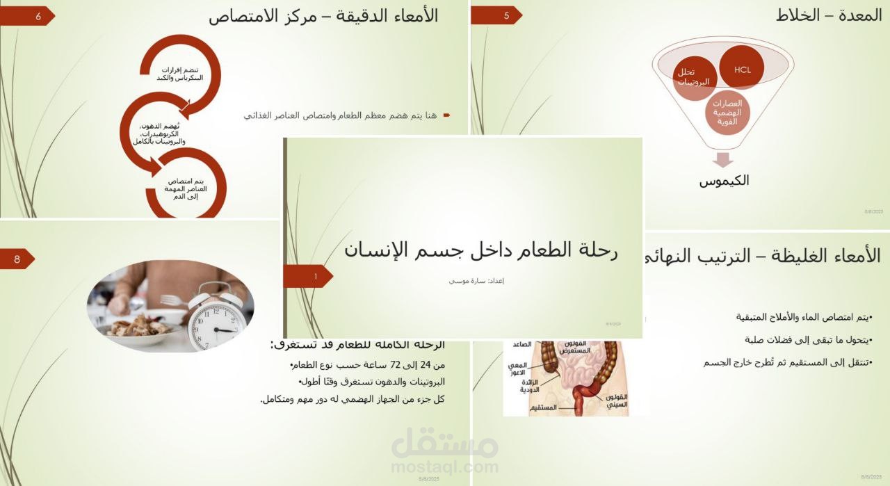presentation 2