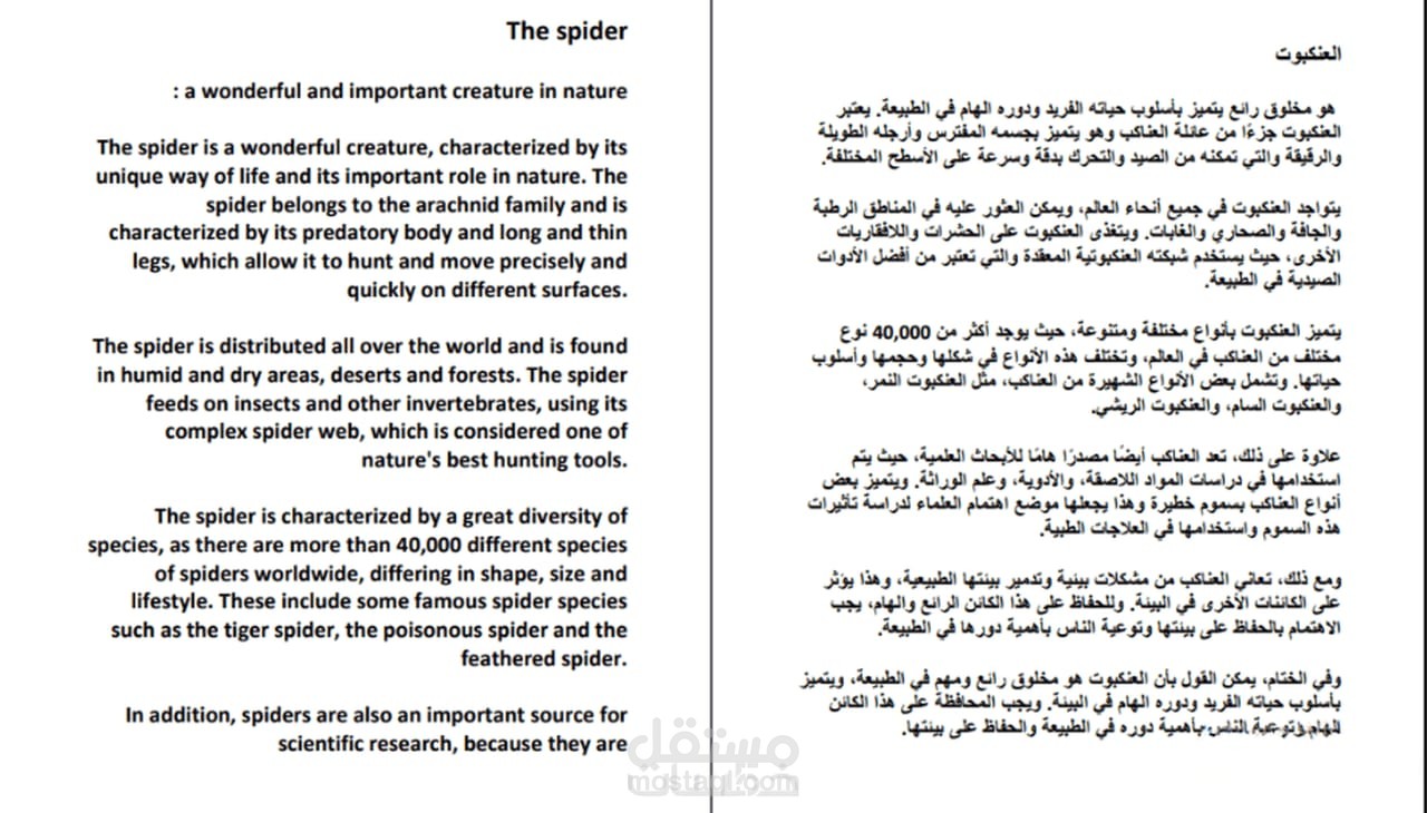 العنكبوت