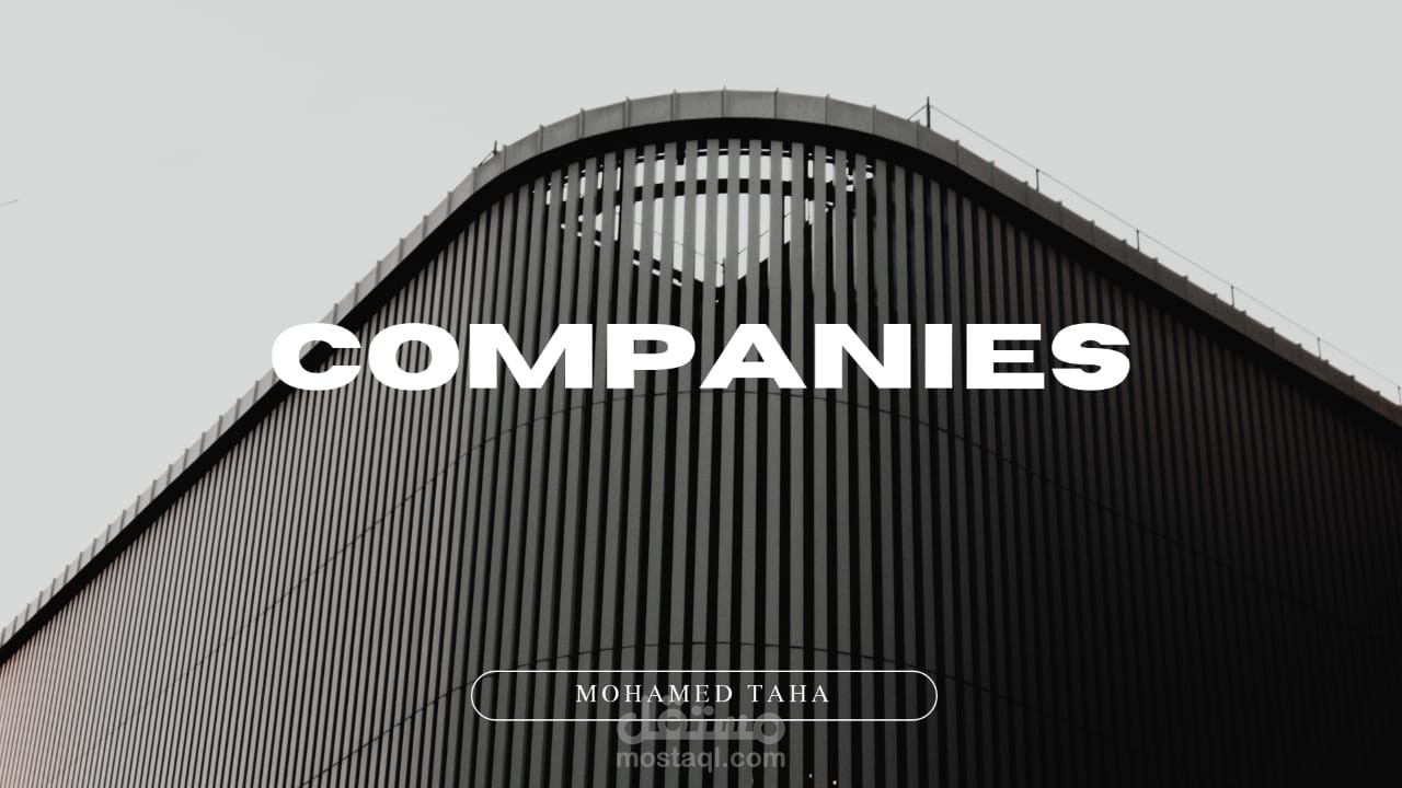 الشركات Companies