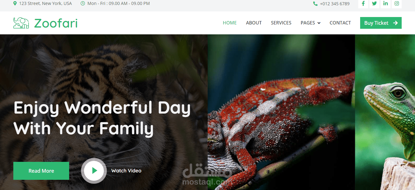 انشاء صفحات هبوط Landing Page احترافية