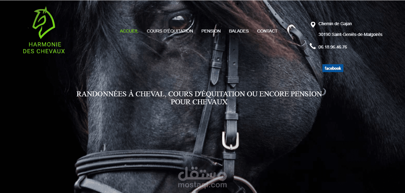 pension chevaux gard