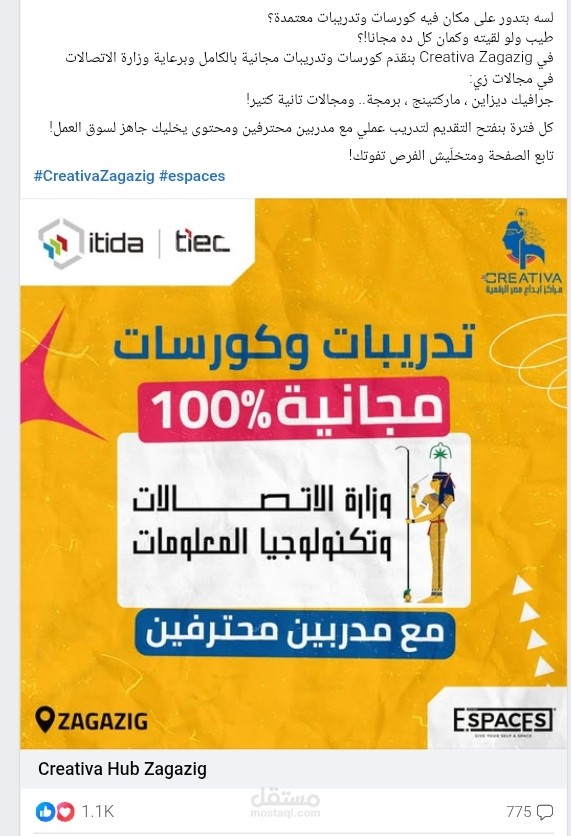 حملة عن طريق المحتوى للوصول للجمهور المستهدف وزيادة متابعين العلامة التجارية