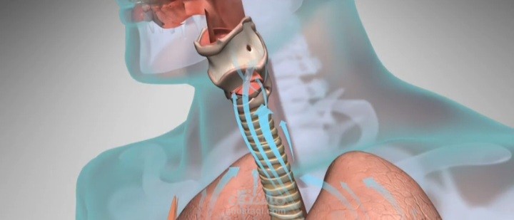 تلخيص فيديو طبي عن امكانيه جسم الانسان لاستخراج الصوت والحديث