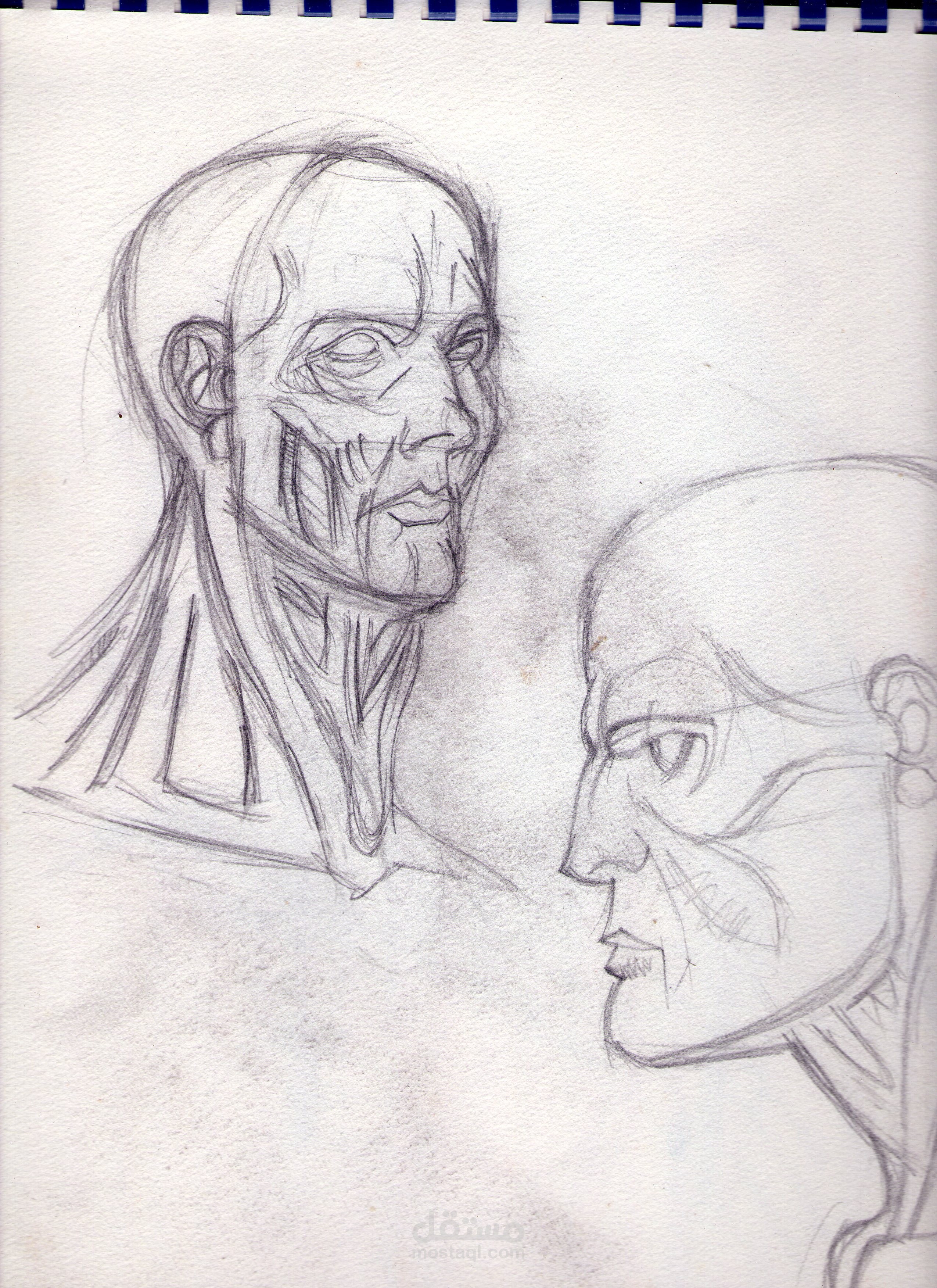 رسم تشريحي artistic-anatomy-human