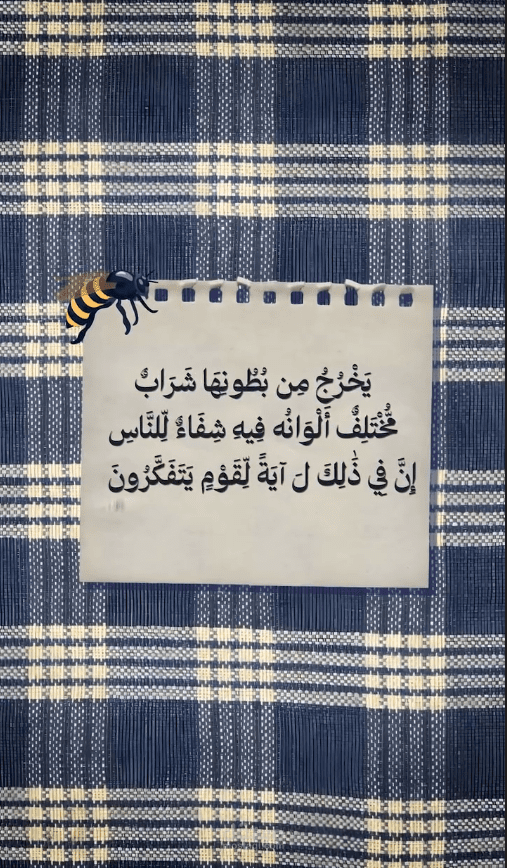 فيديو قصير للسوشيال ميديا عن النحل