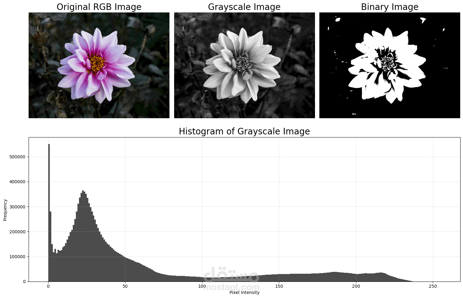 معالجة صورة وتحسينها-Image Processing