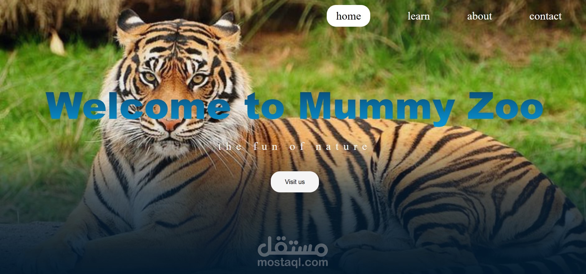 Mummy Zoo