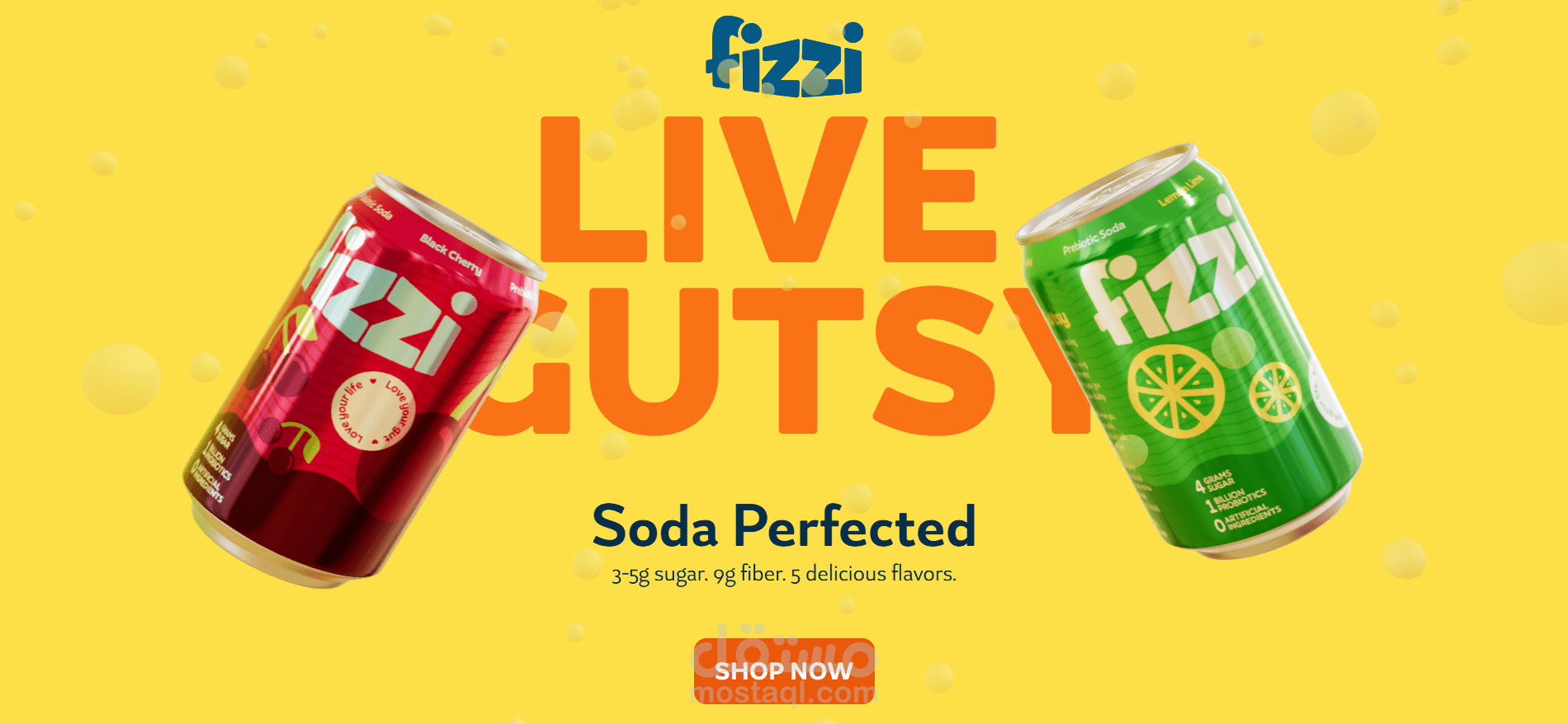 Fizzi Soda website