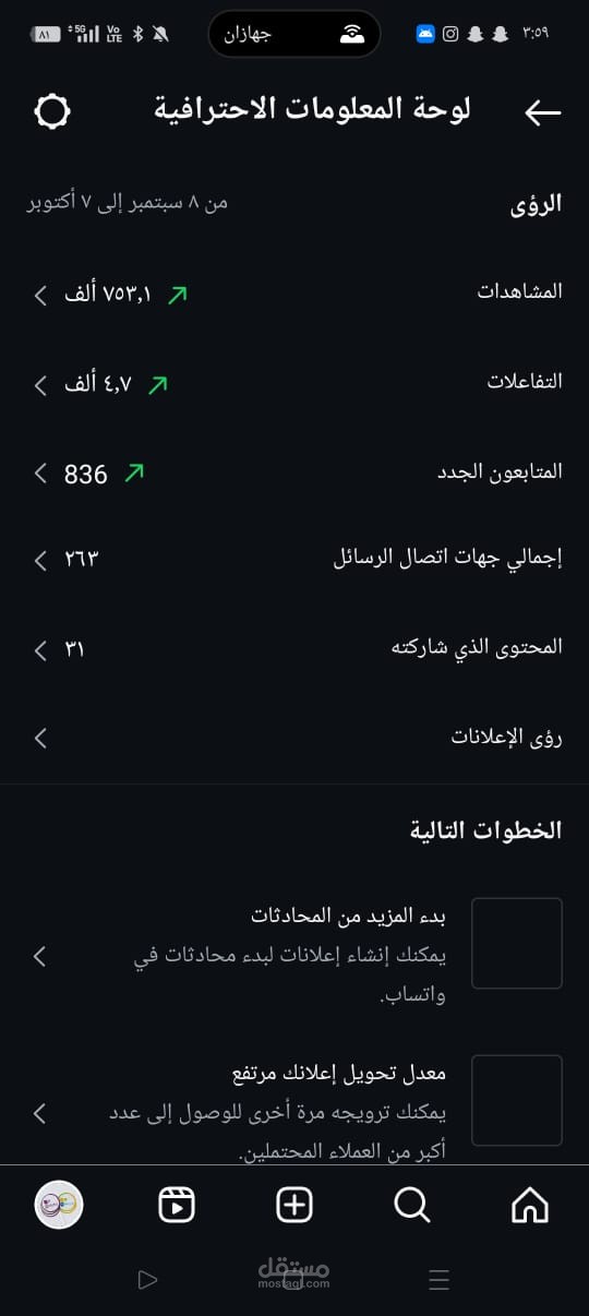 مسوق الكتروني