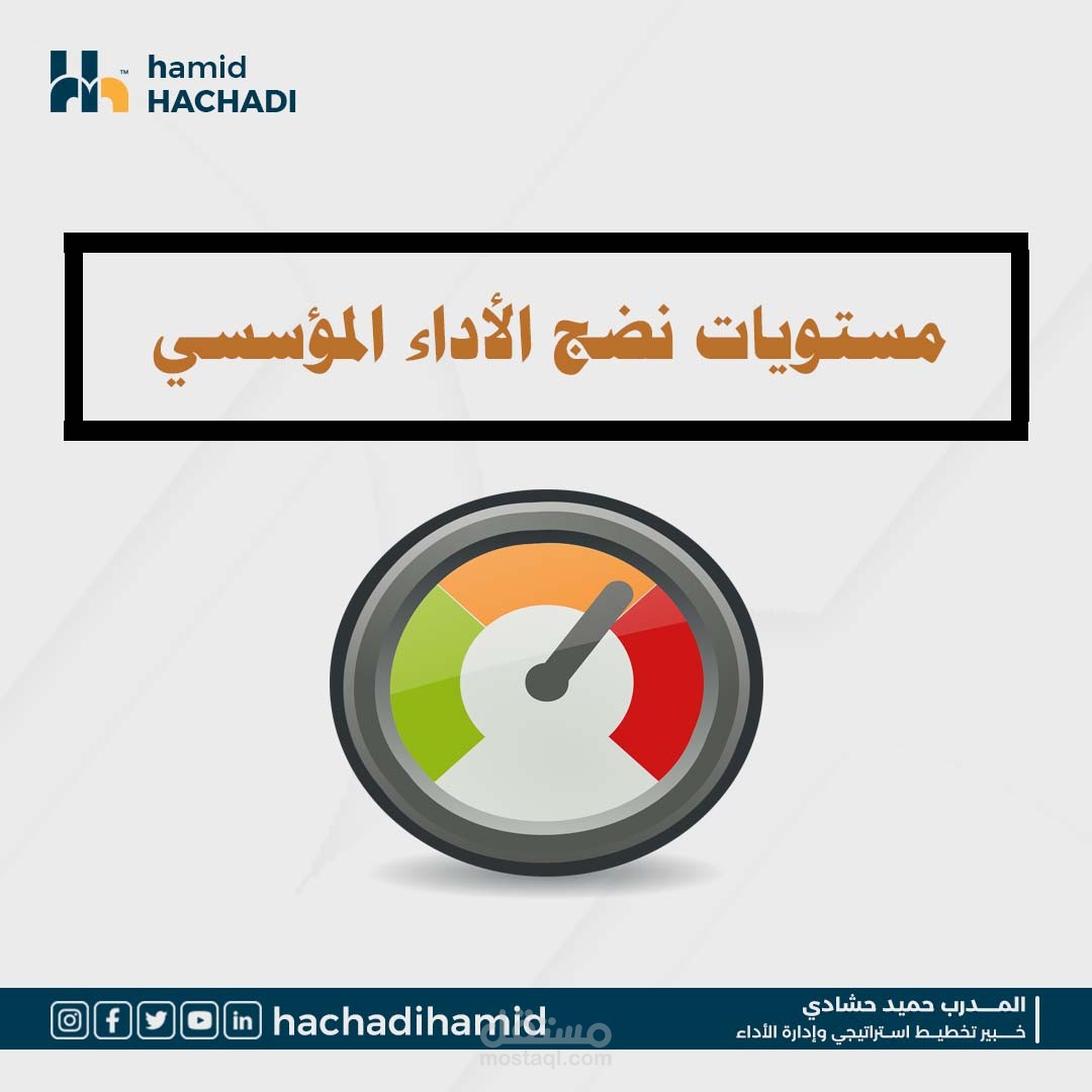 مستويات نضج الأداء المؤسسي