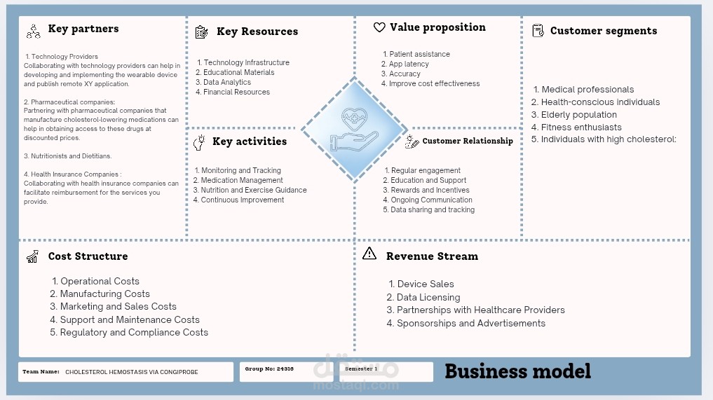 Business Model for a project