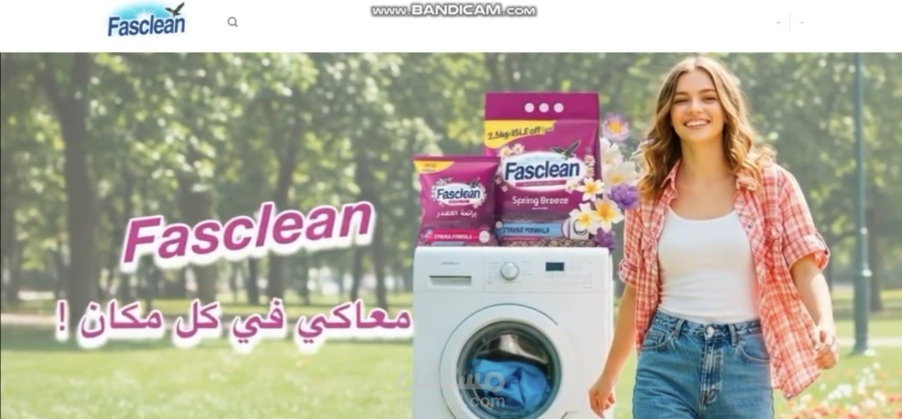 Fasclean Detergent Website - E-commerce