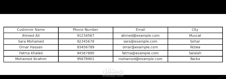 Customer Data Project