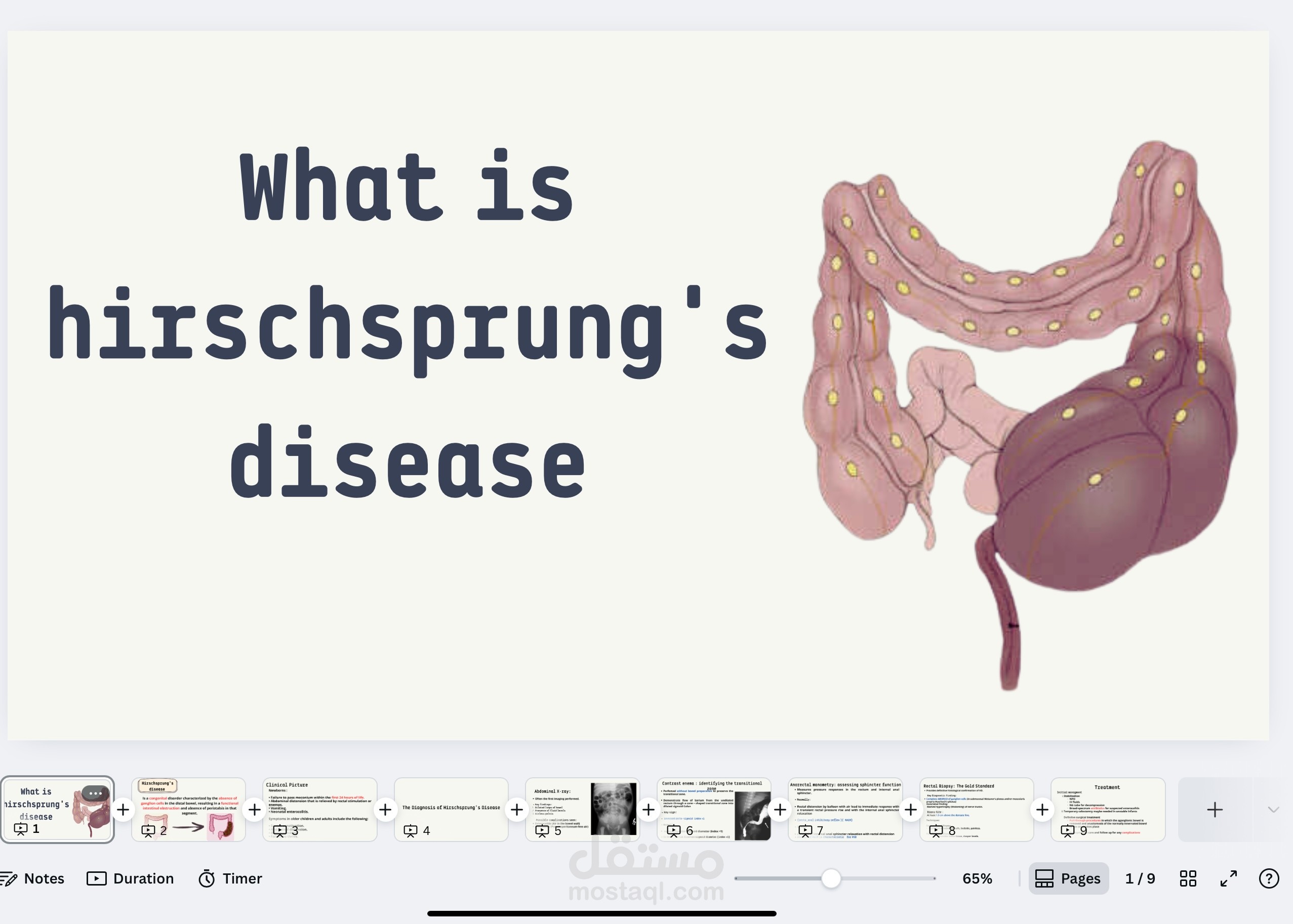 Powerpoint لاحد طلاب كلية الطب