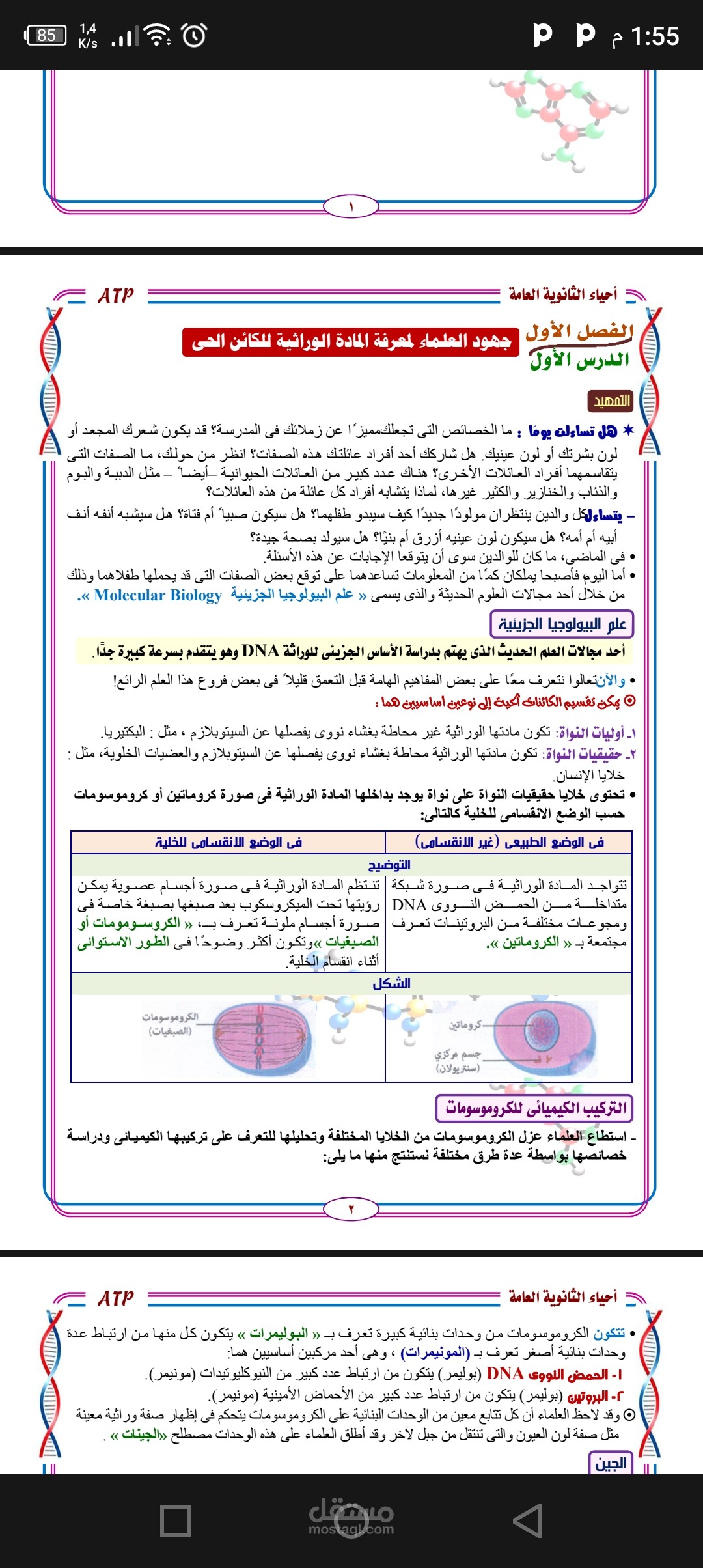كتابه كتب مصغره لماده الأحياء لمدرسين ماده الأحياء