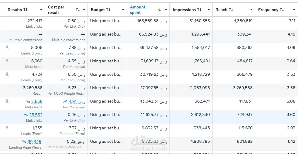 إدارة حملة إعلانية ضخمة على Meta Ads ووصول لأكثر من 30 مليون عميل